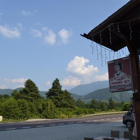 Pensiunea Bety Tutulesti エクステリア 写真